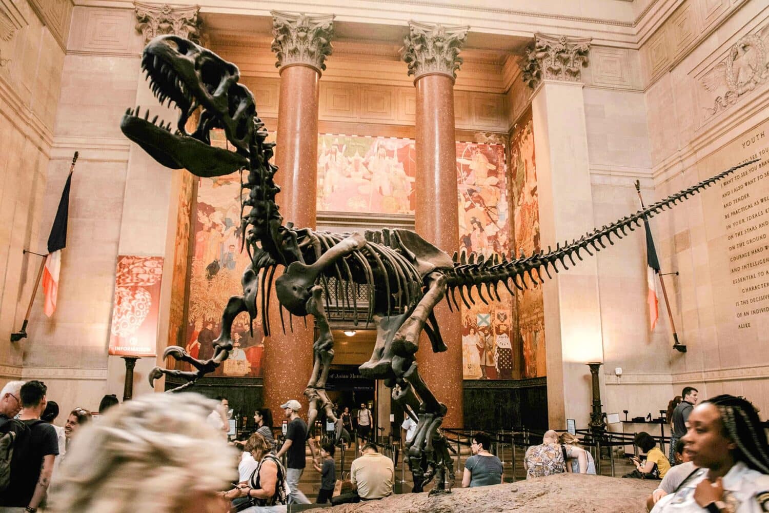 museum of natural history nyc