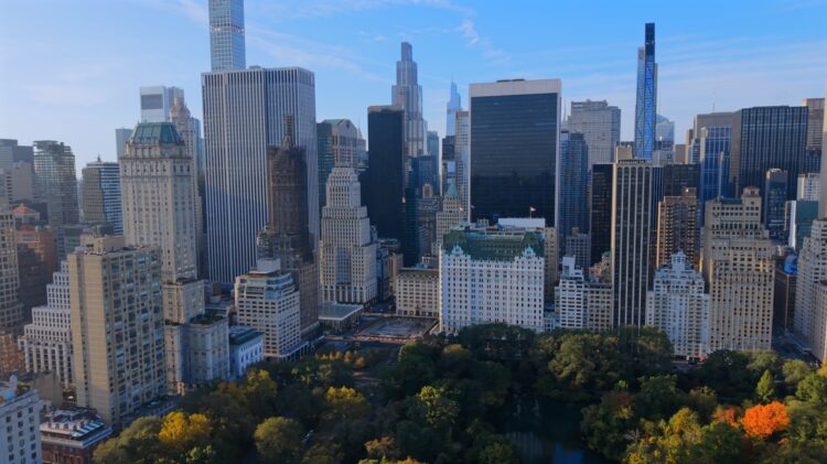 new york skyline with central park view