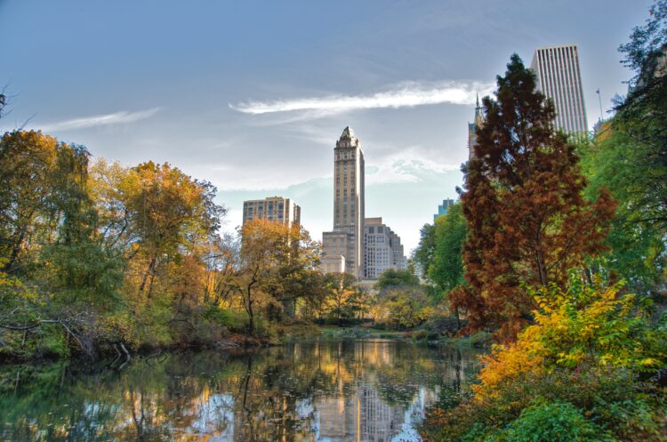 central park during summer time