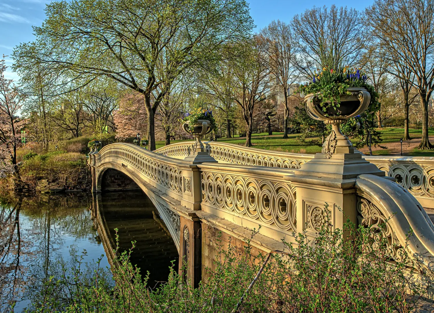 central park bridge bow in the summer time