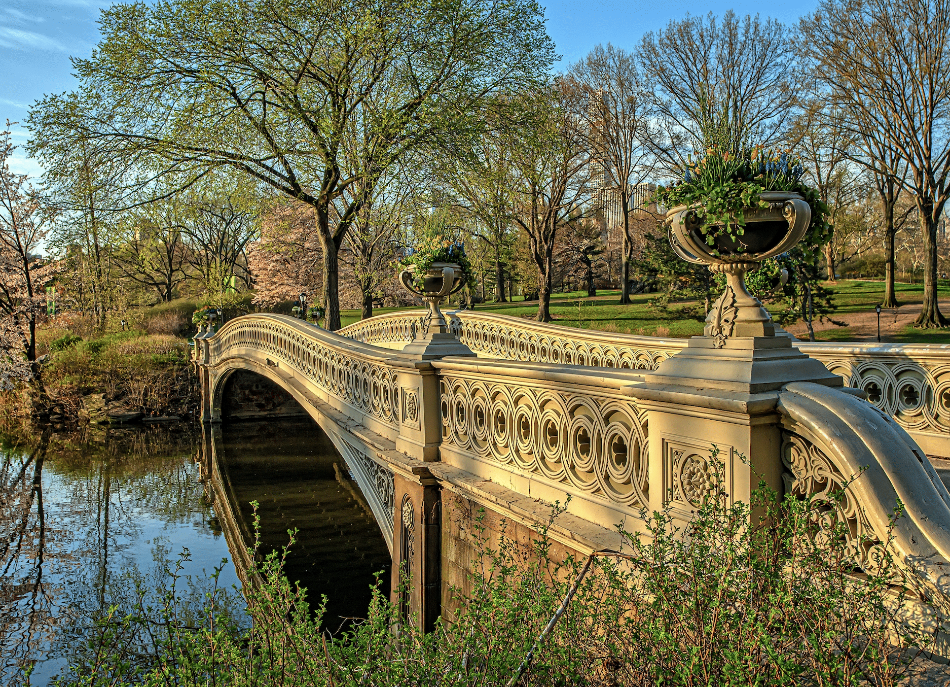 central park bridge bow in the summer time