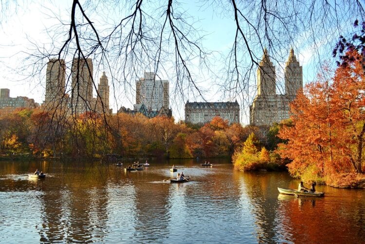 central park during autum with crisp brown leaves overlooking lake