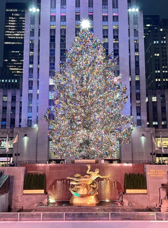 rockefeller christmas tree in new york city